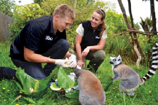 Image result for zookeeper auckland zoo