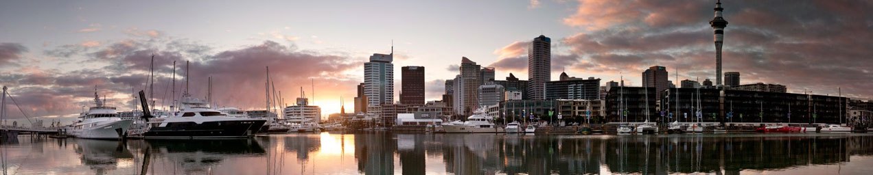 Auckland Guide