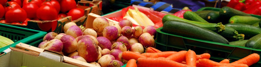 auckland farmers market Wynyard quarter