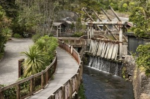 Auckland Zoo