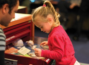 Childrens Gallery - Auckland Museum